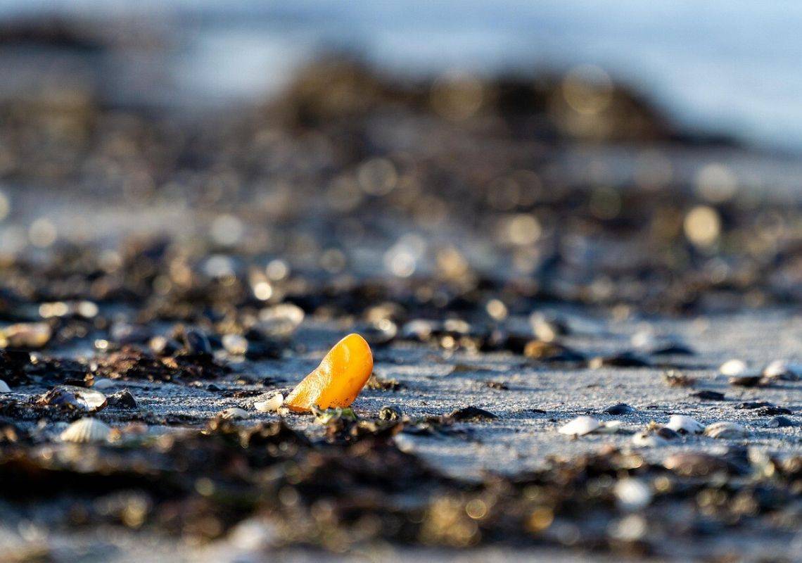 Bursztyn w Łebie – Jakie skarby można znaleźć na plaży i dlaczego warto je zbierać?